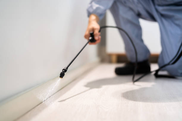 Licensed Cockroach Control service in Orchidlands Estates, HI - Nex Pest Control