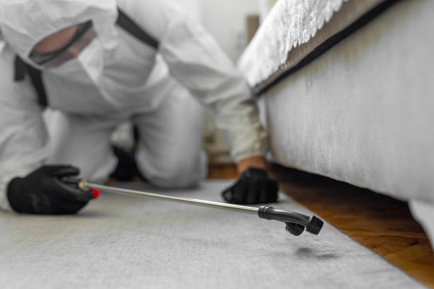 Professional Cockroach Control technician working in Orchidlands Estates, HI