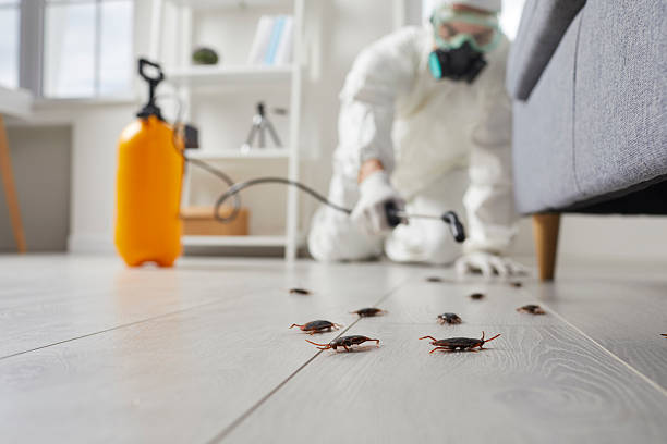 Trusted Fumigation Services service in Orchidlands Estates, HI - Nex Pest Control