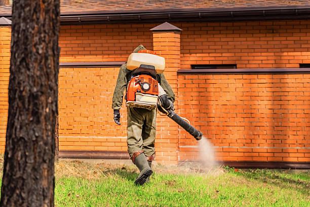 Trusted Cockroach Control service in Orchidlands Estates, HI - Nex Pest Control
